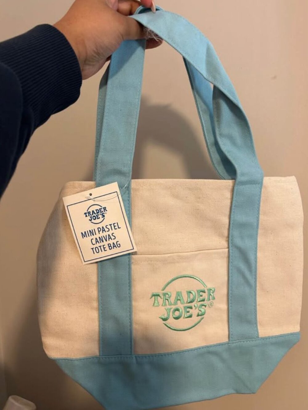 Trader Joe's Pastel Blue Mini Tote Bag